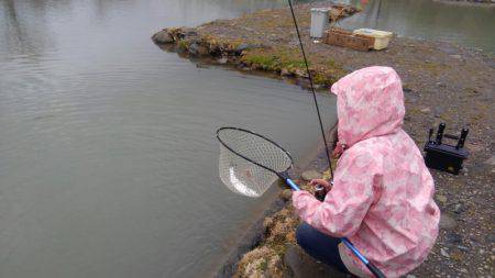 つりぼりあかし 釣果