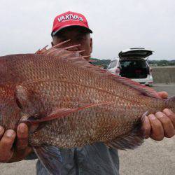 第三共栄丸 釣果