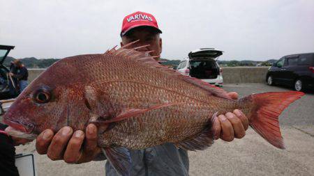 第三共栄丸 釣果