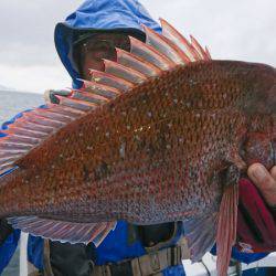 第三共栄丸 釣果