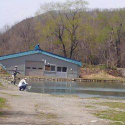 つりぼりあかし 釣果