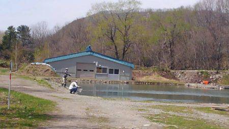 つりぼりあかし 釣果