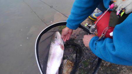 つりぼりあかし 釣果
