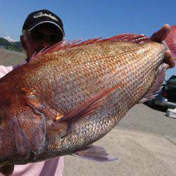 第三共栄丸 釣果