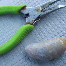 タイラバ遊漁船 ワンピース 釣果