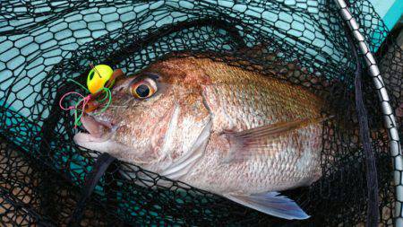 和栄丸 釣果