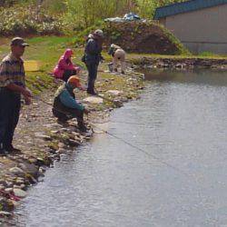 つりぼりあかし 釣果