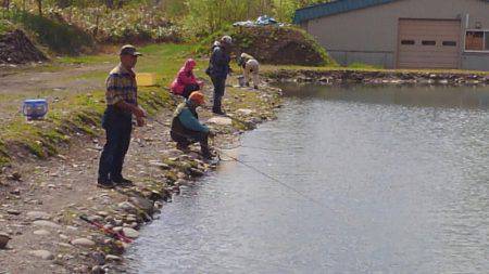 つりぼりあかし 釣果