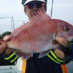 サンマリン 釣果