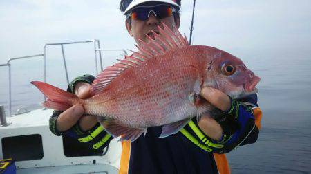 サンマリン 釣果