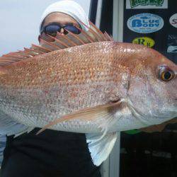 サンマリン 釣果