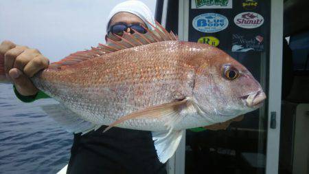 サンマリン 釣果