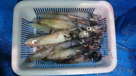 海龍丸（石川） 釣果