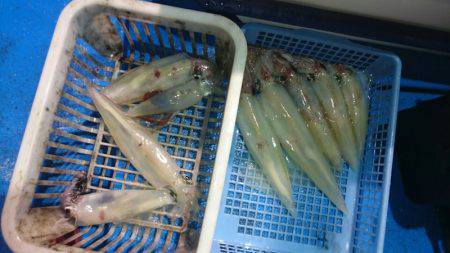 海龍丸（石川） 釣果