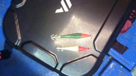 海龍丸（石川） 釣果