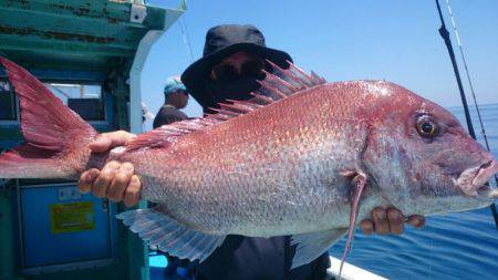 だて丸 釣果