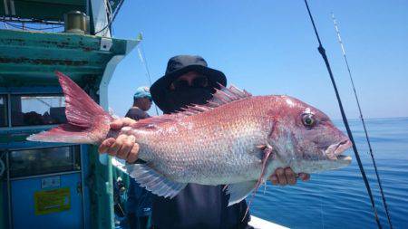 だて丸 釣果
