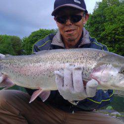 つりぼりあかし 釣果