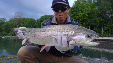 つりぼりあかし 釣果