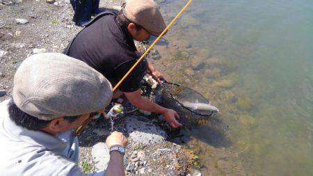 つりぼりあかし 釣果