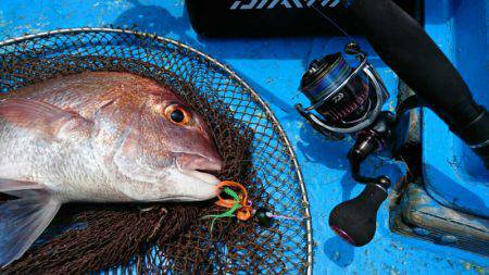 だて丸 釣果