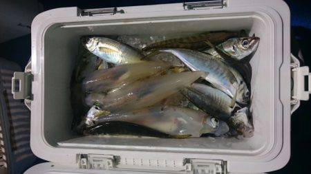 海龍丸（石川） 釣果