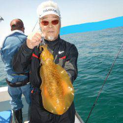 きずなまりん 釣果