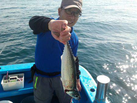 丸万釣船 釣果