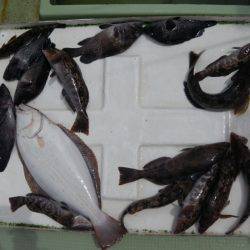 天祐丸 釣果