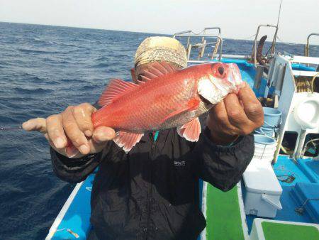 丸万釣船 釣果