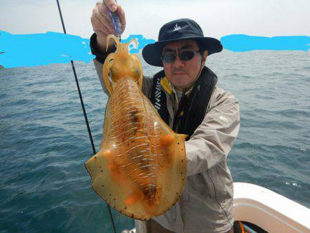 きずなまりん 釣果