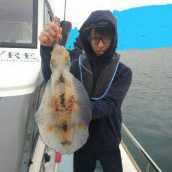 きずなまりん 釣果