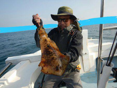 きずなまりん 釣果