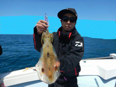 きずなまりん 釣果