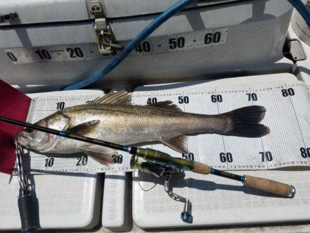 海龍丸(島根) 釣果