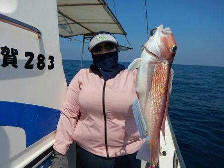 きずなまりん 釣果