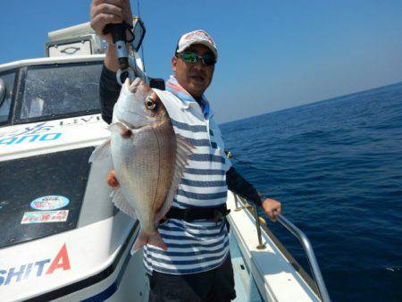 きずなまりん 釣果