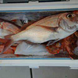 きずなまりん 釣果