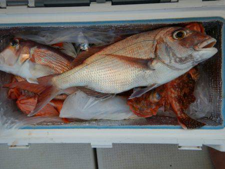 きずなまりん 釣果