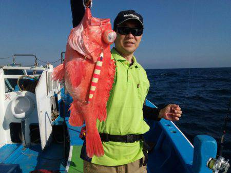 丸万釣船 釣果