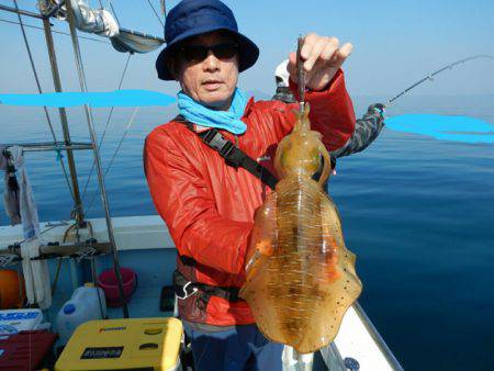 きずなまりん 釣果