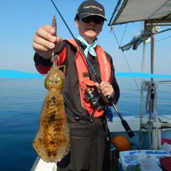 きずなまりん 釣果