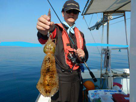 きずなまりん 釣果