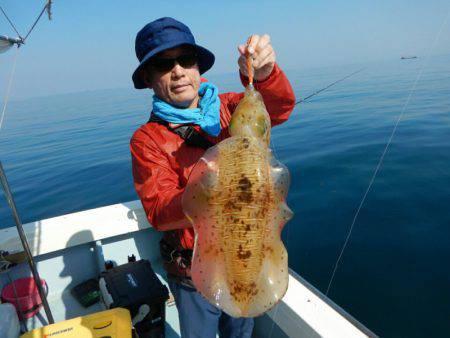 きずなまりん 釣果