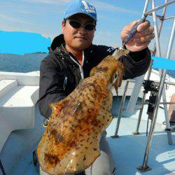 きずなまりん 釣果