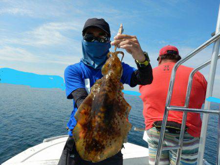 きずなまりん 釣果
