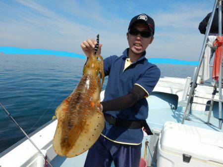 きずなまりん 釣果
