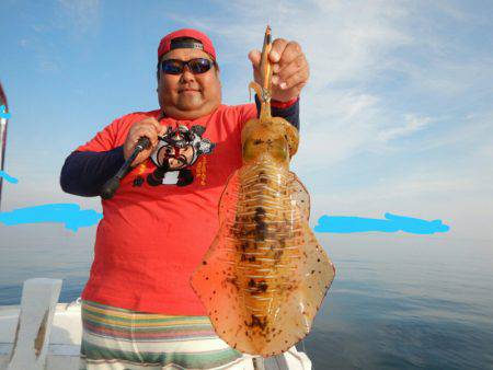 きずなまりん 釣果
