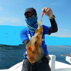 きずなまりん 釣果