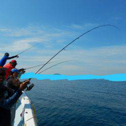 きずなまりん 釣果